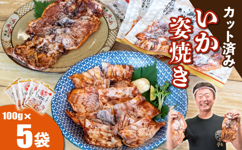 いか姿焼き せんべい 100g×5袋(カット済み) 冷凍
