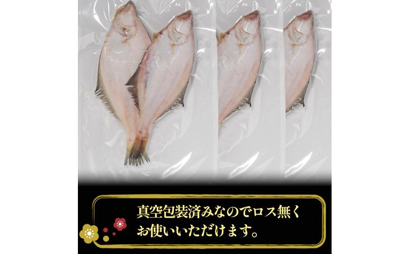 エテカレイ干物 1kg(5～8尾) 魚 干物 エテカレイ 加工食品 ひらき 魚介 魚介類 魚の開き 焼き魚 焼魚 干物 ひもの おかず 福井県