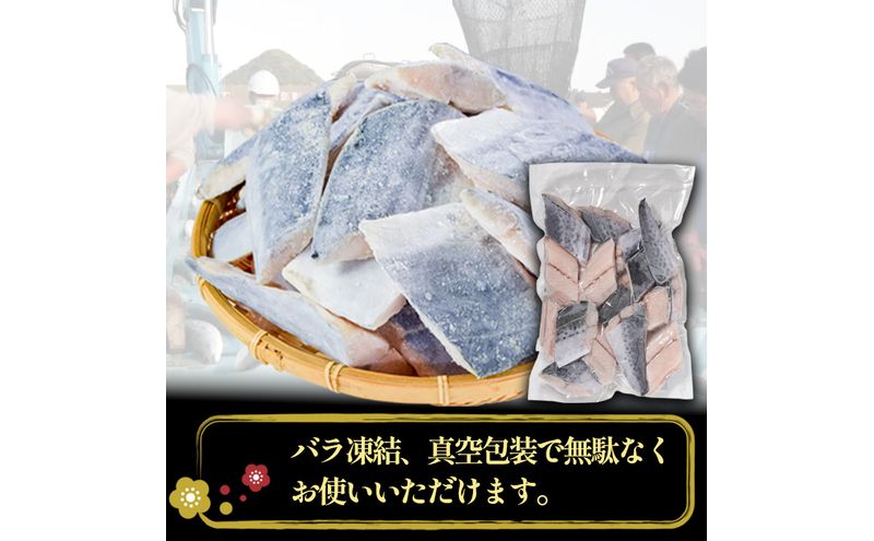 さわら切り身 1kg 真空パック入 魚貝類 加工食品 冷凍 焼くだけ 簡単調理 朝食 朝ごはん お弁当 夕飯 おかず つまみ お酒のあて 福井県 若狭町