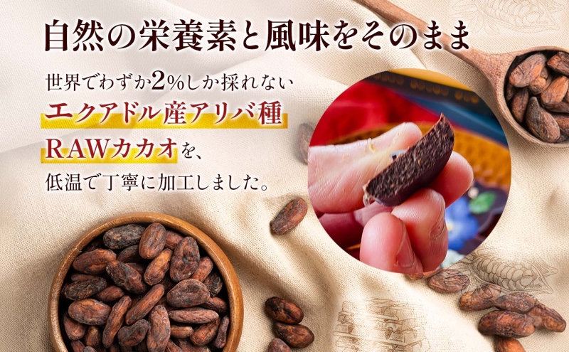 RAWチョコレート ガーデンベアーズ カシューナッツ 65g×1個 ローチョコレート ロースイーツ ヴィーガン グルテンフリー スイーツ ギフト アレルギー対応 乳製品不使用 白砂糖不使用 春木花き農園 北海道 月形町