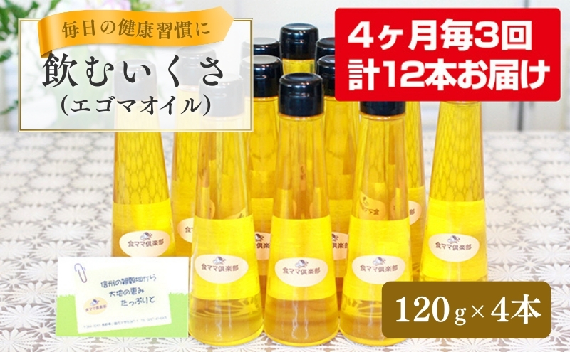 健康長寿！飲むいくさ（エゴマ）オイル4本セット3回お届け  信州 こだわり食材 えごまオイル えごま油 健康食品  お取り寄せ 食用油 