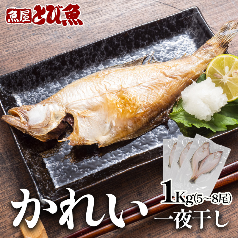 【福井県若狭町】エテカレイ干物 1kg(5〜8尾) 魚 干物 エテカレイ 加工食品 ひらき 魚介 魚介類 魚の開き 焼き魚 焼魚 干物 ひもの おかず 福井県