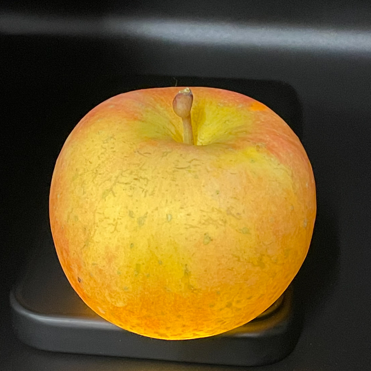 数量限定/先行予約】樹上完熟の奥久慈りんご「こうとく」約3kg（10～18