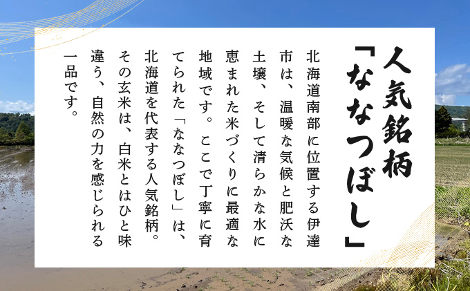 北海道伊達市のふるさと納税 【定期便】令和7年産 北海道伊達市産 ななつぼし 玄米 5kg×3回【2025年10月1日発送開始】