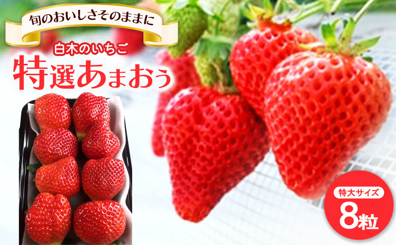 【福岡県大刀洗町】いちご いちご職人直送 白木のいちご 特選 あまおう (特大サイズ) 8粒 イチゴ 苺 果物 デザート ※配送不可:沖縄・離島