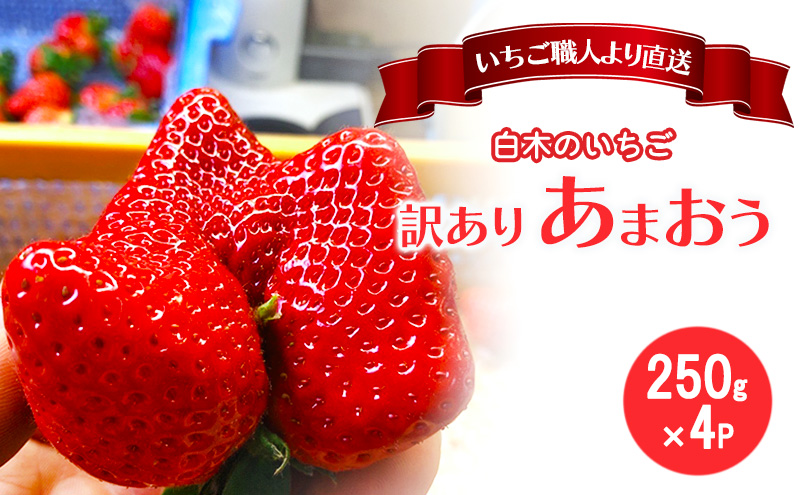 y品z󂠂  El ؂̂ ܂ ӂ낢ȁuv 250g×4P A C`S  ʕ fU[g zsFE