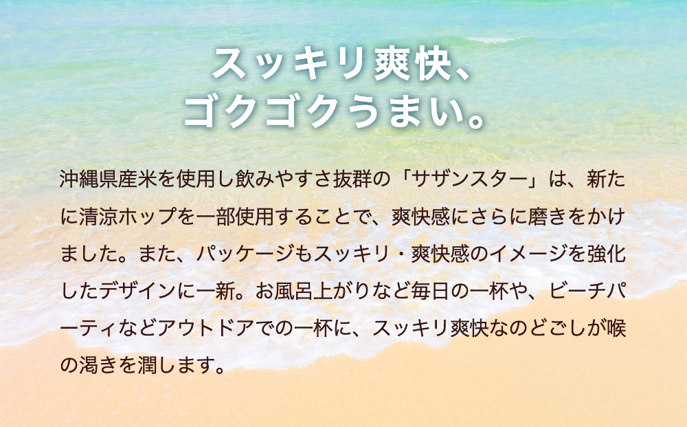 オリオンビール　サザンスター（350ml×24缶）☆