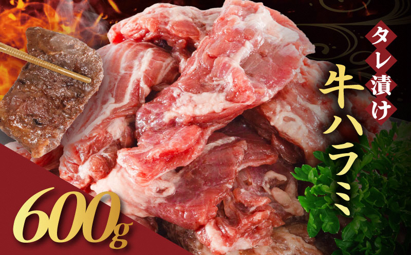 【訳あり】 タレ漬け 牛ハラミ 600g 2P 肉 牛 牛肉 ハラミ 味付け タレ ハラミ肉 BBQ バーベキュー 焼き肉 焼肉 焼肉セット アウトドア キャンプ ギフト 真空 パック 小分け 300g 個包装 簡単 便利 冷凍 人気 京都 南丹市 神戸 ミートフーズ