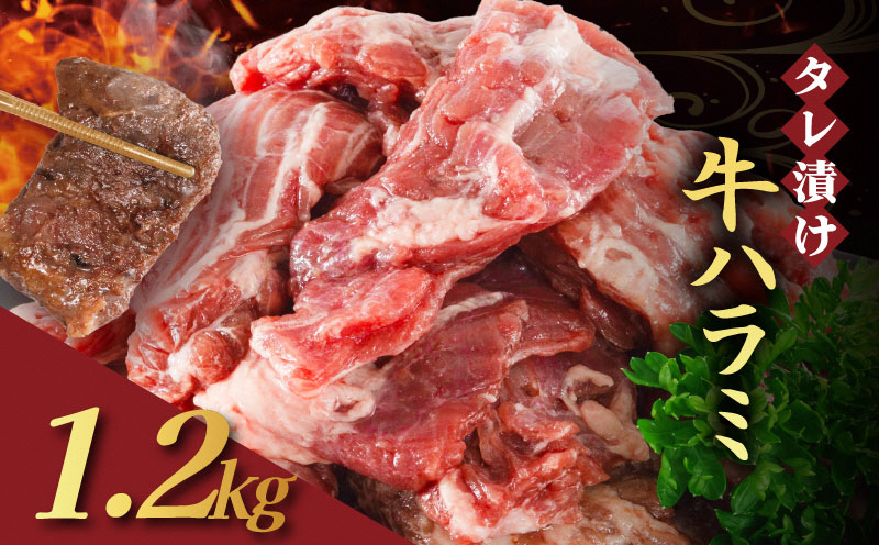 ys{Oszy󂠂z ^Ђ n~ 1.2kg 4P    n~ t ^ n~ BBQ o[xL[ Ă ē ēZbg AEghA Lv Mtg ^ pbN  300g  ȒP ֗ Ⓚ lC s Os _ ~[gt[Y