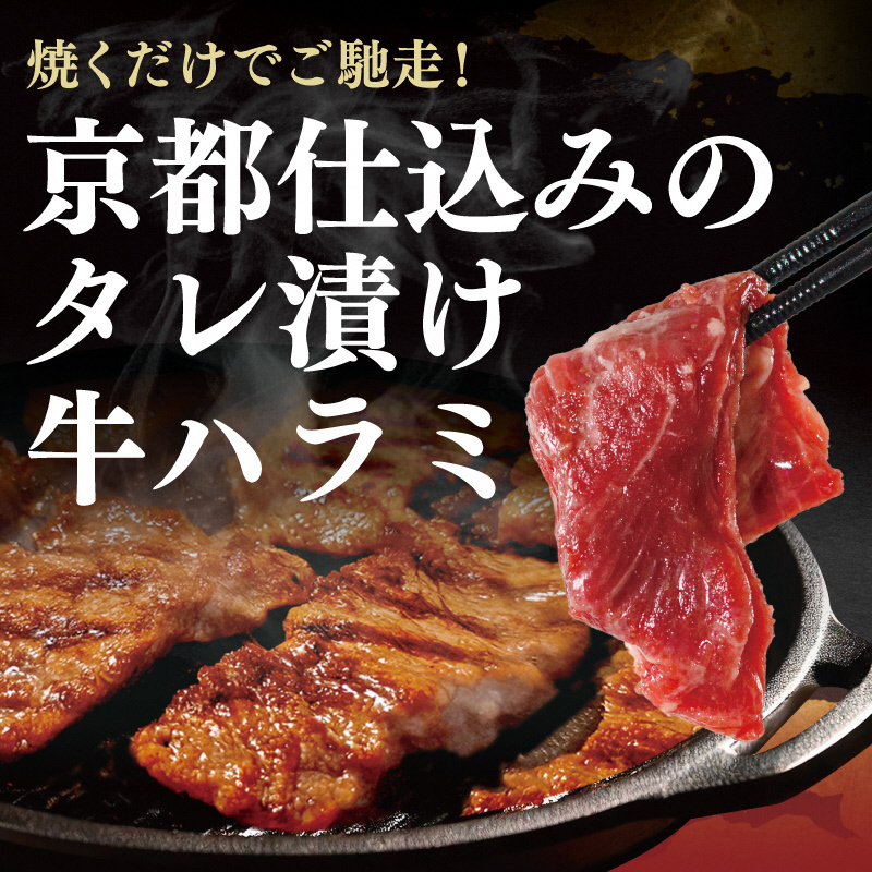 【訳あり】 タレ漬け 牛ハラミ 1.8kg 6P 肉 牛 牛肉 ハラミ 味付け タレ ハラミ肉 BBQ バーベキュー 焼き肉 焼肉 焼肉セット アウトドア キャンプ ギフト 真空 パック 小分け 300g 個包装 簡単 便利 冷凍 人気 京都 南丹市 神戸 ミートフーズ