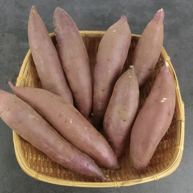 【2026年1月より順次発送】仁平さんの熟成紅はるか 約5kg(Mサイズ・洗い)｜さつまいも サツマイモ さつま芋 いも 紅はるか 熟成さつまいも 熟成 茨城県 行方市(CH-3)