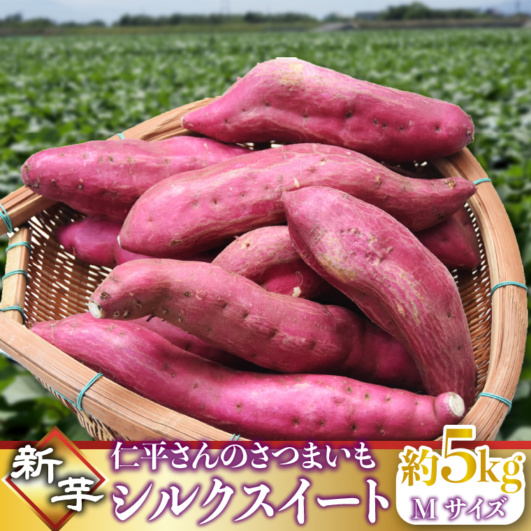 y錧sszy2025N9菇zm̐VVNXC[g 5kg(MTCYE)b܂ Tc}C ܈  VNXC[g V 錧 ss(CH-4)