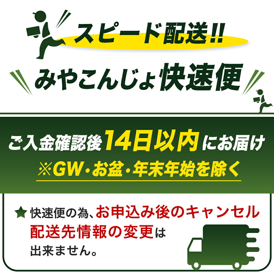 宮崎県都城市のふるさと納税 抗ウイルス加工羽毛掛ふとん ポーランド産ホワイトダック93%【S】≪みやこんじょ快速便≫_AJ-E106-R