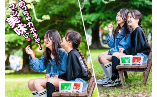 パンプキンクリスプ（プレーン）【パンプキン クリスプ スナック お菓子 おやつ デザート スイーツ かぼちゃ サクサク 鹿嶋市 茨城県】（KEB-001）