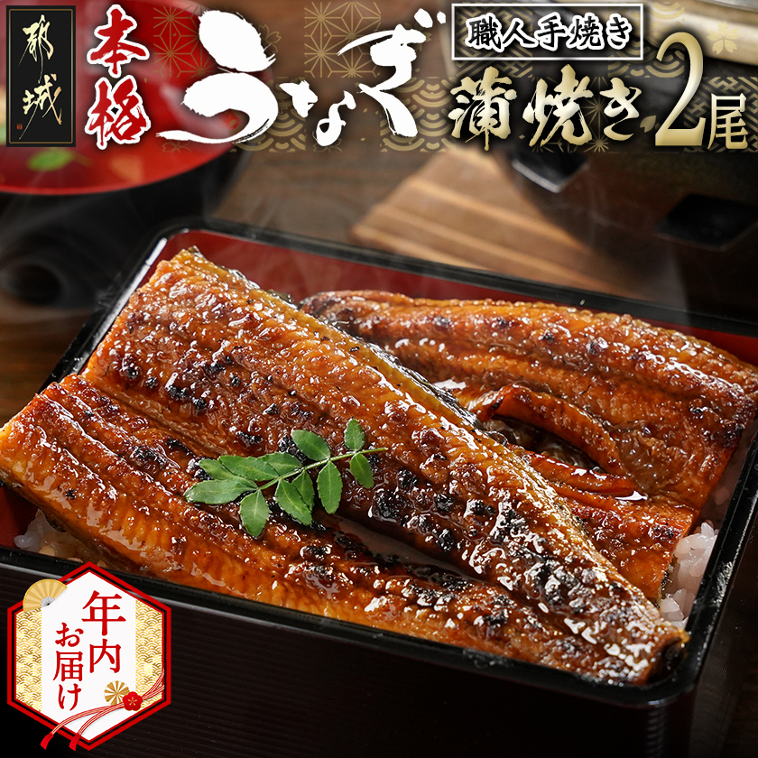 [年内お届け]職人手焼きの本格うなぎ蒲焼き2尾≪2025年12月15日〜31日お届け≫