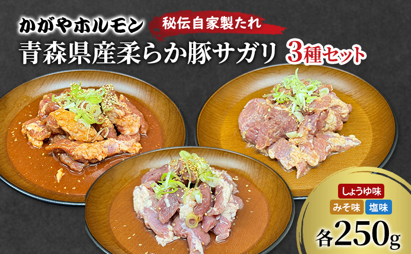 かがやホルモン 秘伝自家製たれ 当店自慢 青森県産 柔らか 豚 サガリ 3種 セット みそ味 しょうゆ味 塩味 肉 豚肉 味付け肉 真空パック