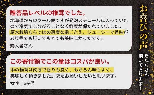 北海道今金町のふるさと納税 【先行予約】原木栽培 生椎茸 約900g 里の恵 しいたけ シイタケ きのこ キノコ 椎茸 野菜 F21W-259