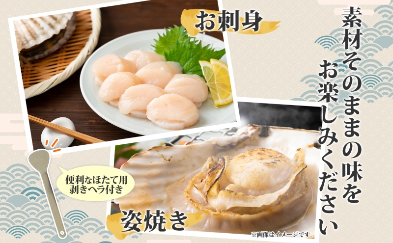 北海道洞爺湖町のふるさと納税 北海道産 活ほたて 2年貝 約 2kg 15枚～22枚 2026年1月中旬～2月上旬頃お届け 殻付き 貝付き 帆立 ホタテ ほたて 貝 魚介 海産 海鮮 貝柱 噴火湾 刺身 焼き フライ 生産者支援 産地直送 送料無料 魚介類 魚貝類