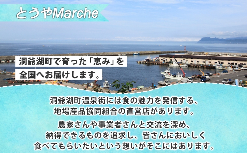 北海道洞爺湖町のふるさと納税 北海道産 活ほたて 2年貝 約 2kg 15枚～22枚 2026年1月中旬～2月上旬頃お届け 殻付き 貝付き 帆立 ホタテ ほたて 貝 魚介 海産 海鮮 貝柱 噴火湾 刺身 焼き フライ 生産者支援 産地直送 送料無料 魚介類 魚貝類
