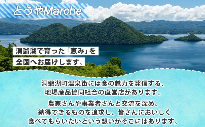 北海道産 活ほたて 2年貝 約 9kg 67枚～100枚 2026年3月中旬～3月下旬頃お届け 殻付き 貝付き 帆立 ホタテ ほたて 貝 魚介 海産 海鮮 貝柱 噴火湾 刺身 焼き フライ 生産者支援 産地直送 送料無料 