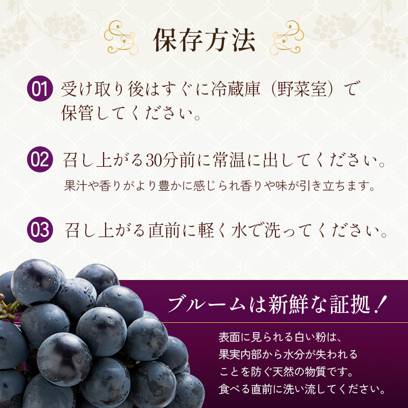 8月発送｜採れたて旬のぶどう 食べ比べ 約2kg（3～4房）セット 詰め合わせ 産地直送 フルーツ 兵庫県 加西市