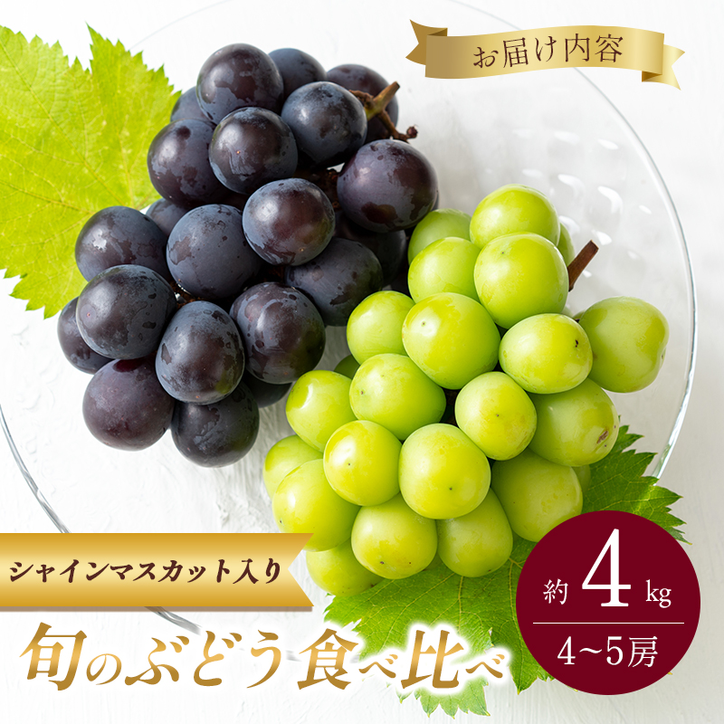 9月限定｜採れたて旬のぶどう 食べ比べ 約4kg（4～5房）シャインマスカット入り セット 詰め合わせ 産地直送 フルーツ 兵庫県 加西市