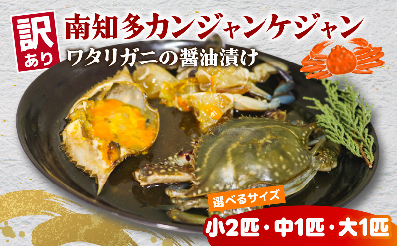 【選べる サイズ】訳あり 南知多カンジャンケジャン カンジャンケジャン ワタリガニの醤油漬け 魚介 魚介類 ワタリガニ 渡蟹  蟹 新鮮 グルメ カニ お米 に合う コメ に合う こめ に合う ご飯 のお供 おすすめ 韓国料理 韓国グルメ ケジャン おいしいカニ  晩酌 肴 おかず そうめん 雑炊 濃厚 内子 海の幸 国産 夕食 万能 まるごと ふるさと納税カニ 自家製ダレ 蟹の旨味 愛知県 南知多