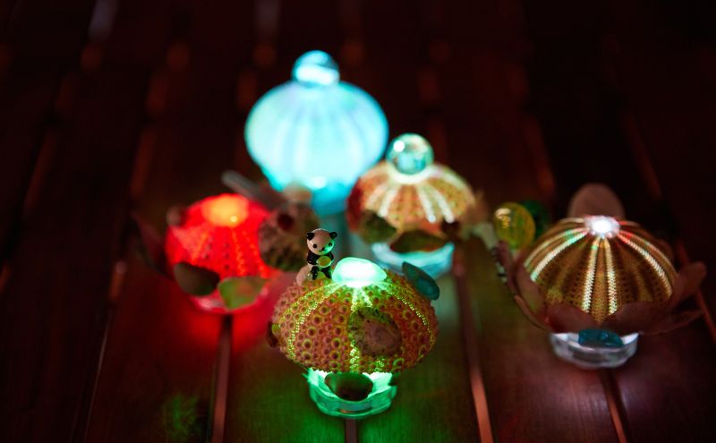 宮津・天橋立のアクティビティで使えるクーポン券5,000円分