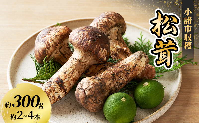 天然きのこ 松茸 国産 マツタケ まつたけ 山形県産 大自然の凛さん採取その57 天然きのこ 松茸 国産 マツタケ まつたけ 山形県産 大自然の凛