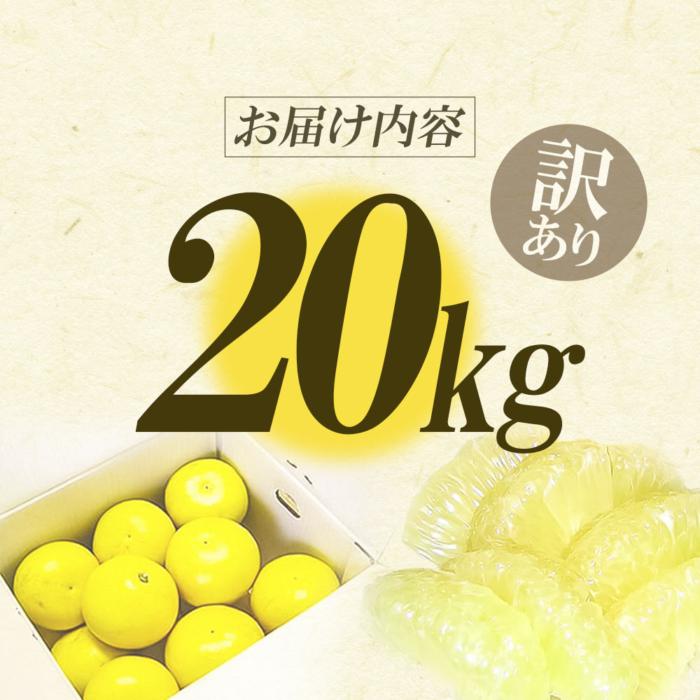 【先行予約】高知県産　訳あり土佐文旦20kg(10kg×2箱)