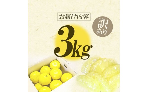 【先行予約】“高知県産”ワケあり土佐文旦（※シミ・キズあり）3kg・サイズおまかせ