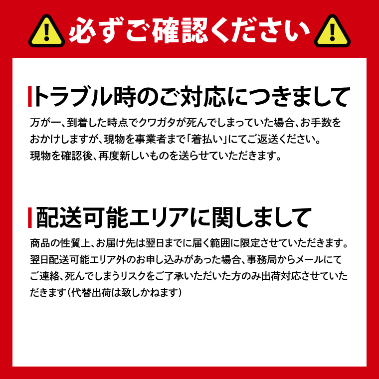 ニジイロクワガタ オス飼育セット(3)【クワガタ クワガタムシ 昆虫 虫 国産 飼育 セット 夏休み 自由研究 鹿嶋市 茨城県】（KBY-11）