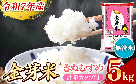 BG無洗米・金芽米きぬむすめ 5kg 計量