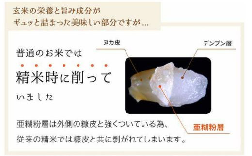 島根県安来市のふるさと納税 BG無洗米・金芽米きぬむすめ 5kg 計量カップ無し【令和6年産 節水 健康 ビタミン ミネラル つや お弁当 おいしい うまみ 甘み ふっくら 時短 簡単 島根県 安来市】【価格変更】