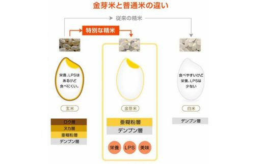 島根県安来市のふるさと納税 BG無洗米・金芽米きぬむすめ 5kg 計量カップ無し【令和7年産 節水 健康 ビタミン ミネラル つや お弁当 おいしい うまみ 甘み ふっくら 時短 簡単 島根県 安来市】【価格改定XA】