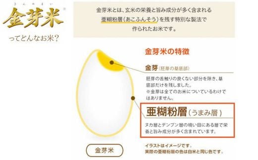 島根県安来市のふるさと納税 BG無洗米・金芽米にこまる 5kg 計量カップ無し【令和6年産 時短 健康 うまみ 甘み 栄養 おいしい やわらかい ふっくら ビタミン ミネラル 島根県 安来市】【価格変更】
