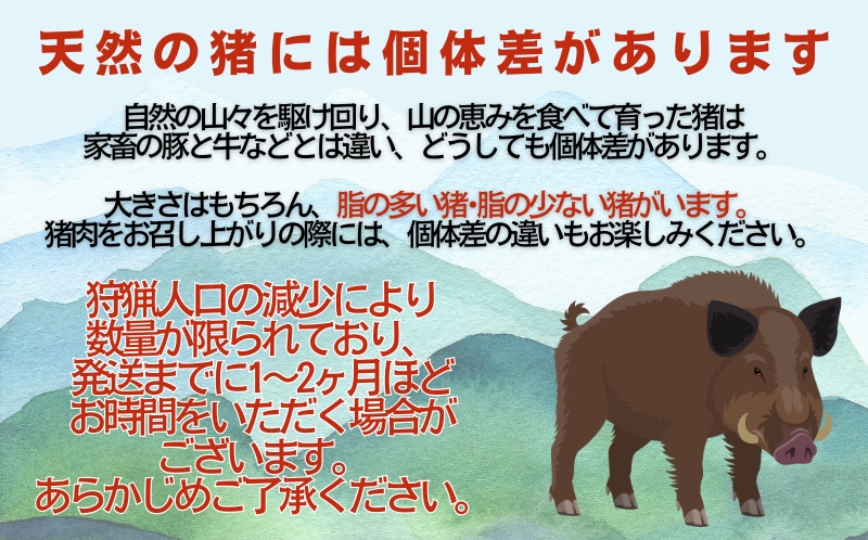 猪 スペアリブ 肉 600g （ 200g × 3パック ） 9000円 （5個/月限定）イノシシ 冷凍 真空 パック 国産 天然 猪肉 精肉 ジビエ肉 カルシウム 低カロリー 低脂肪 高たんぱく ヘルシー コラーゲン 焼肉 焼き肉 ヤキニク バーベキュー BBQ カレー 煮込み ラーメン ポトフ 土手煮 味噌煮 ぼたん鍋 牡丹鍋 お鍋 人気 山鯨 愛媛県 愛南町 愛南ジビエ