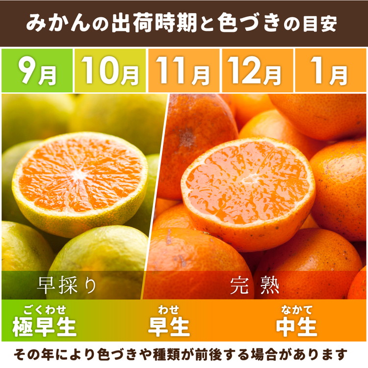 〈定期便〉【10・11・12月 全3回】極プレミアム 有田みかん定期便 1kg+250g （傷み補償分） ※北海道・沖縄・離島への配送不可
