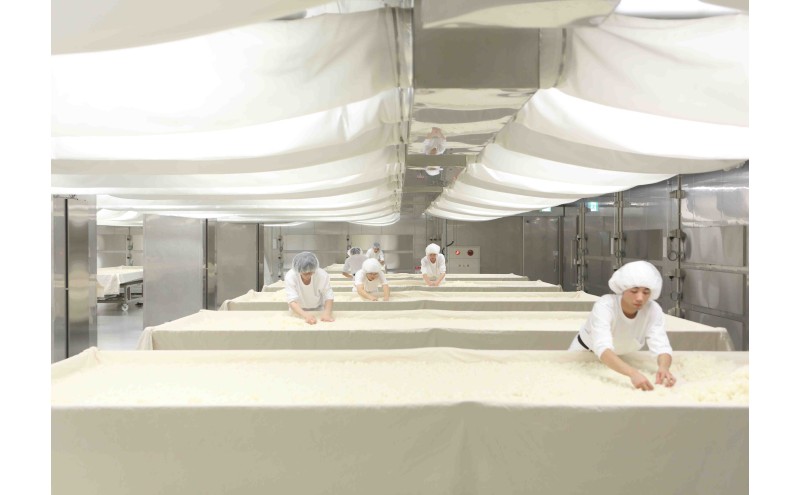 獺祭 純米大吟醸 磨き二割三分 720ml 福岡県産山田錦使用 日本酒 酒 お酒 純米大吟醸 大吟醸