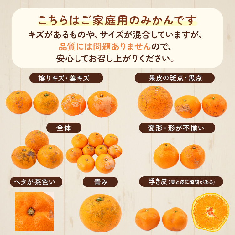 〈定期便〉【10・11・12月 全3回】極プレミアム 有田みかん定期便 5kg+250g （傷み補償分） ※北海道・沖縄・離島への配送不可