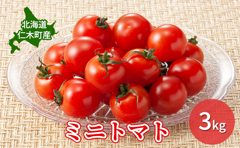 3UN3UN様専用ミニトマト9kg セール 諫早市産訳ありミニトマト3kg