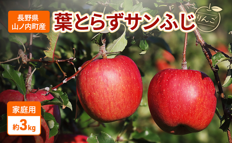 【長野県山ノ内町】家庭用 葉とらずサンふじ リンゴ 約3kg りんご 林檎 果物 くだもの フルーツ 信州 長野