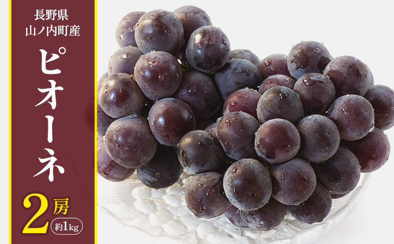 �y���쌧�R�m�����z�y2026�N�����z�s�I�[�l2�[��1kg �Ԃǂ� �u�h�E �ʕ� �������� �t���[�c �M�B ����