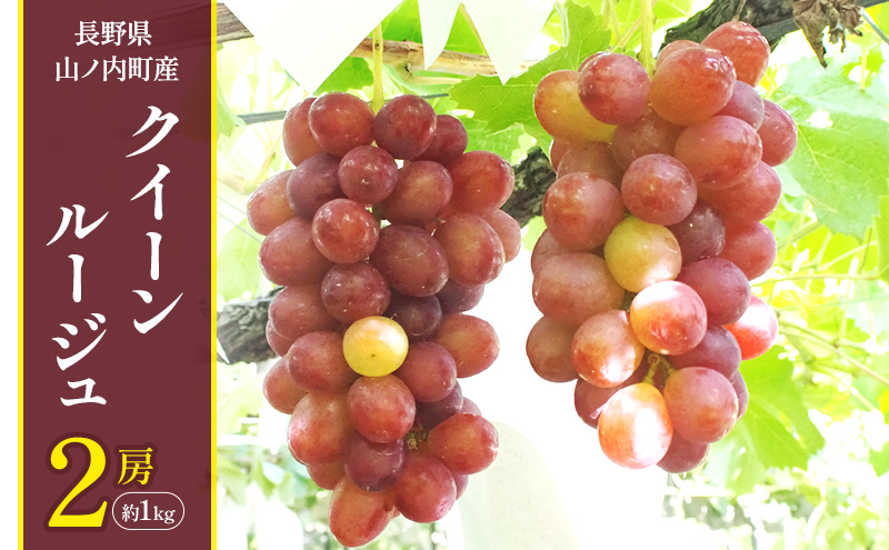 �y���쌧�R�m�����z�y2026�N�����z�N�C�[�����[�W��2�[��1kg �Ԃǂ� �u�h�E �ʕ� �������� �t���[�c �M�B ����