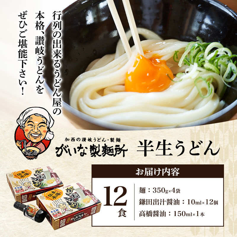 加西市で行列ができる『がいな製麺所』の 讃岐うどん セット こんぶ醤油付き （ 半生タイプ 讃岐 さぬき もっちり コシ 喉越し もちもち食感 ご当地 麺類 かけ 常温保存 有名店 人気店 老舗 製麺所 グルメ お取り寄せ ）