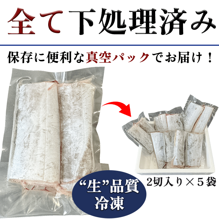 【南知多漁港直送】天然太刀魚 塩焼き用 2切×5袋セット〈下処理済・急速冷凍〉岬だより