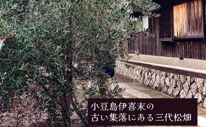 小豆島産オリーブオイル 100% 搾りたて 小豆島産三代松家オリーブオイル (エクストラバージンオイル・濾過) 67ml 1本