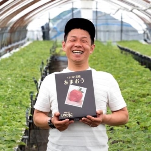 いちご 2月配送 しあわせもん あまおう 化粧箱 1箱 いちご職人 白木のいちご イチゴ 苺 果物 デザート ※配送不可：沖縄・離島