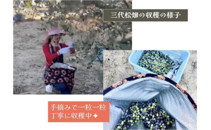 小豆島産オリーブオイル 100% 搾りたて 小豆島産三代松家オリーブオイル (エクストラバージンオイル・無濾過) 67ml 1本