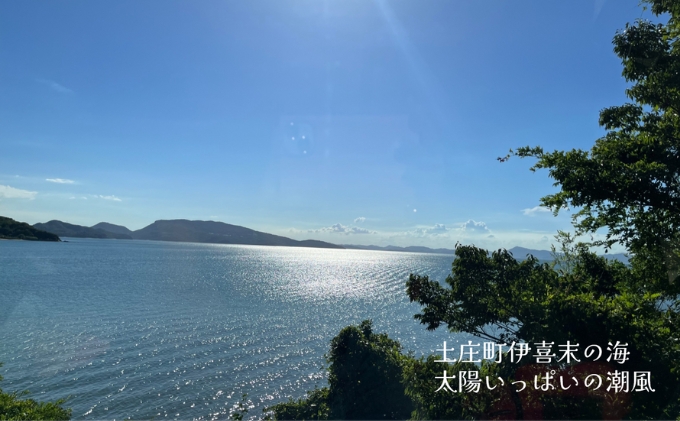 小豆島産オリーブオイル 100% 搾りたて小豆島産三代松家オリーブオイル (エクストラバージンオイル・濾過)120ml 2本